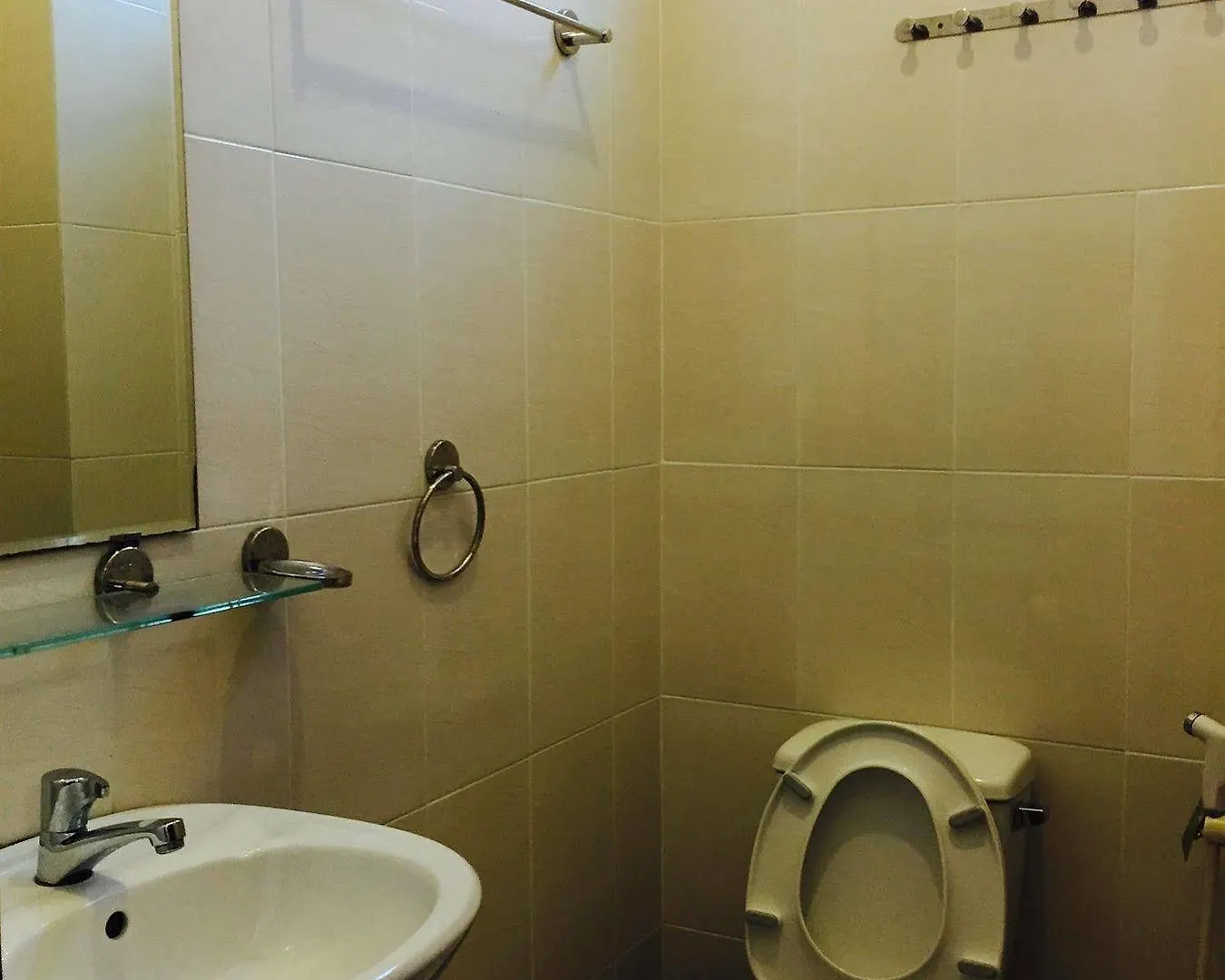 בית הארחה הו צ'י מין סיטי Thanh Ha Guesthouse